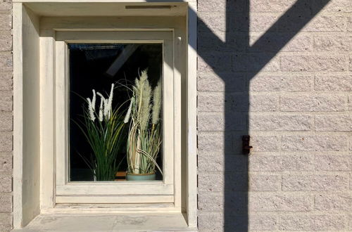 Photo 41 - 6pers House With a Private Terrace and Garden by the Lauwersmeer