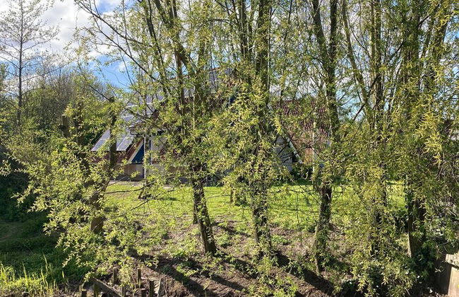 6pers House With a Private Terrace and Garden by the Lauwersmeer - Photo 20