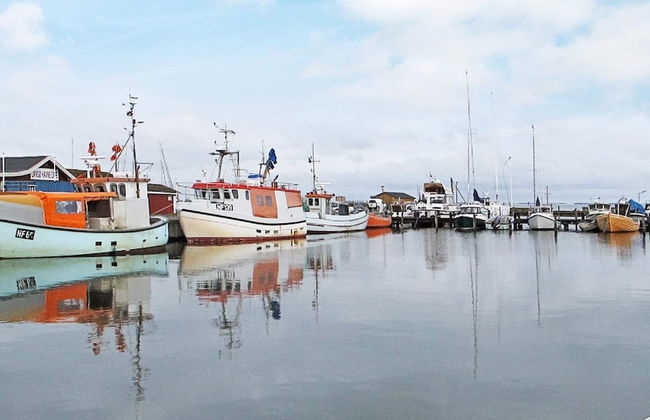 Elegant Holiday Home in Lolland near Sea - Photo 29