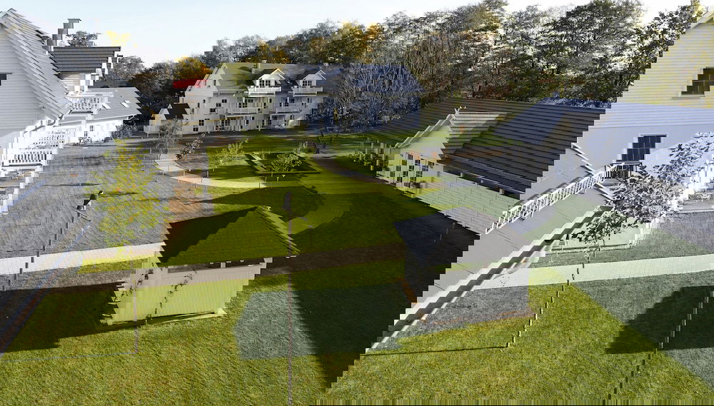 Imagem principal