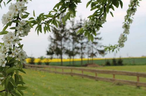 Photo 22 - Cozy Holiday Home in Hohenkirchen near Baltic Sea