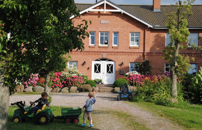 Hof Faasel Bauernhofurlaub an der Ostsee - Foto 31