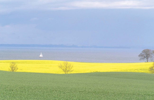 Hof Faasel Bauernhofurlaub an der Ostsee - Foto 32