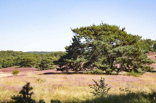 Foto 57 - EuroParcs Brunssummerheide