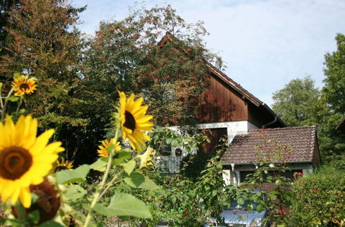 Foto 14 - Cozy Apartment in Moos near Lake Constance