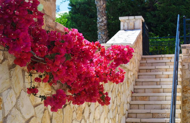Luxury Villa Lemonia With Private Pool - Foto 42