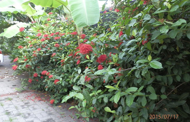 Sandy Serviced Apartment - Foto 57