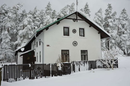 Photo 24 - Luxury Villa near Forest in Hlavice Czech Republic