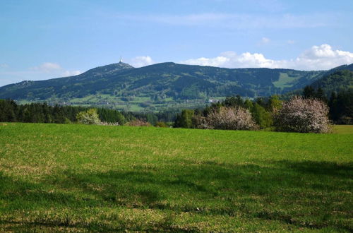 Photo 29 - Luxury Villa near Forest in Hlavice Czech Republic