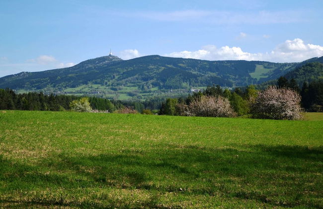 Luxury Villa near Forest in Hlavice Czech Republic - Foto 27