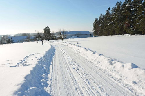 Photo 30 - Luxury Villa near Forest in Hlavice Czech Republic