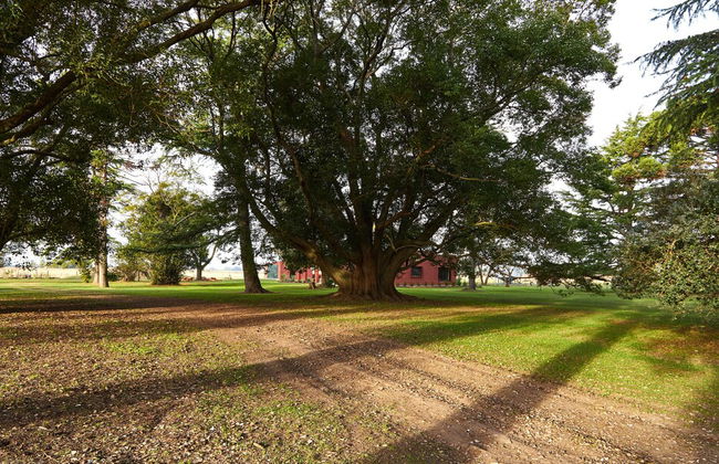 Hestia at San Antonio de Areco - Foto 47