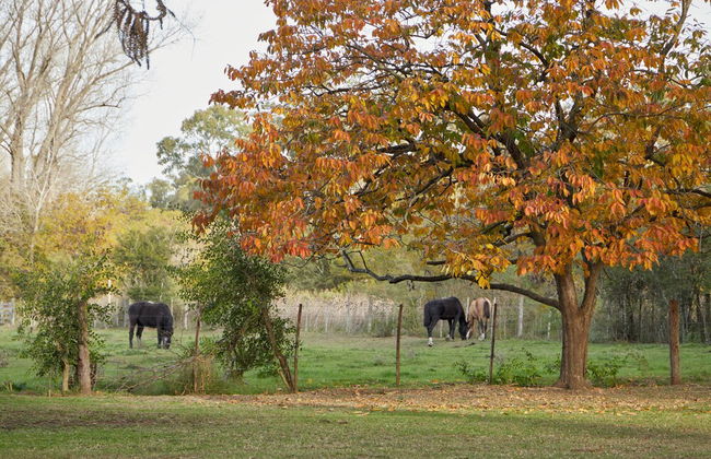 Hestia at San Antonio de Areco - Foto 62