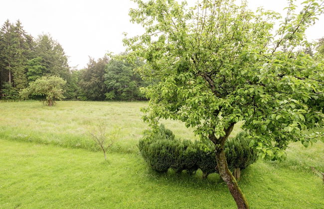Rustic Retreat in Houvegne - Foto 23