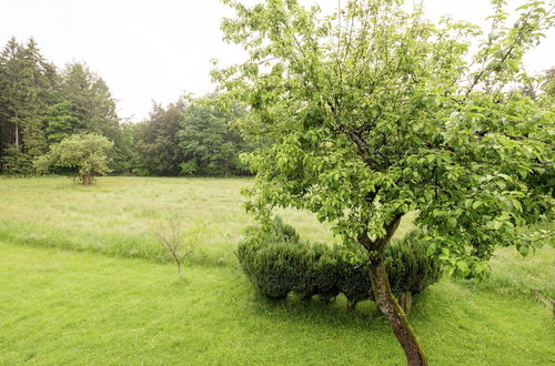 Photo 18 - Sunny Holiday Home in Stavelot