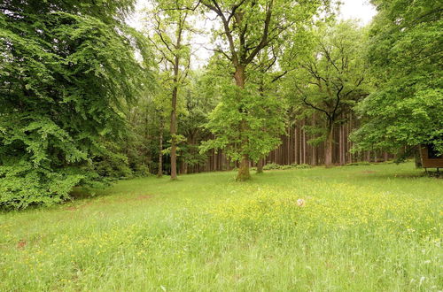 Photo 25 - Sunny Holiday Home in Stavelot