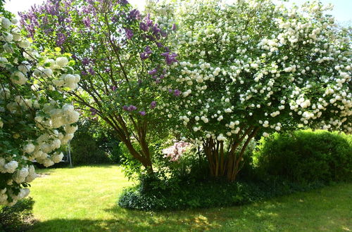 Photo 30 - Spacious Holiday Home With Private Terrace