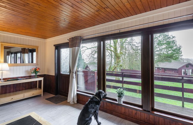 Bluebell Lodge 4 with Hot Tub - Foto 4