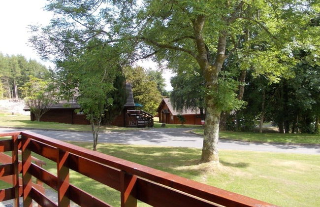 Bluebell Lodge 4 with Hot Tub - Foto 15