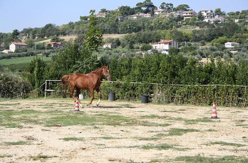 Foto 26 - Agriturismo Vecchia Monta