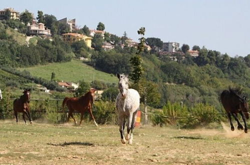 Photo 28 - Agriturismo Vecchia Monta