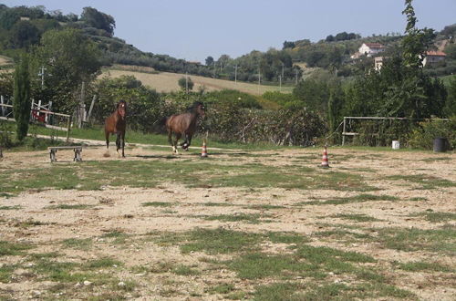 Photo 25 - Agriturismo Vecchia Monta