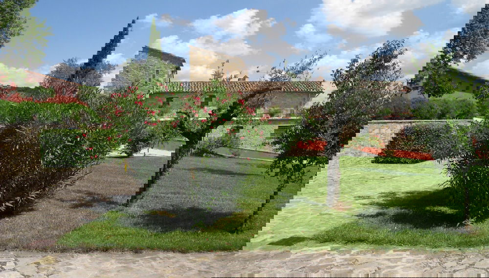 Imagem principal