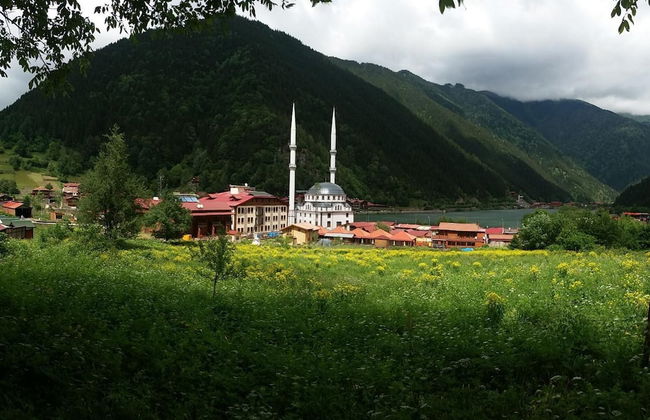 Kuzey Suites - Photo 27
