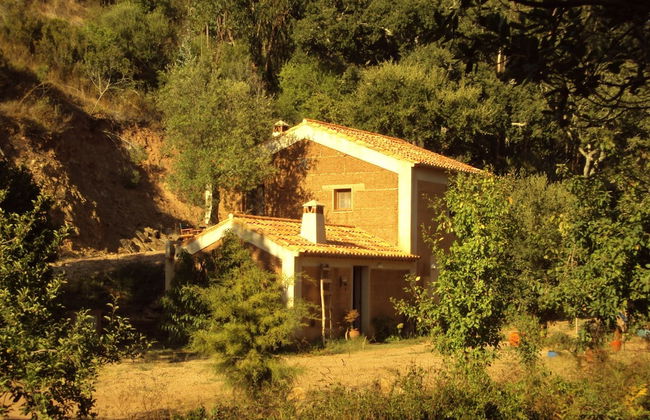 Quiet Cottage in Estate Casas da Cerca near Troviscais - Foto 23