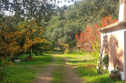 Photo 27 - Quiet Cottage in Estate Casas da Cerca near Troviscais