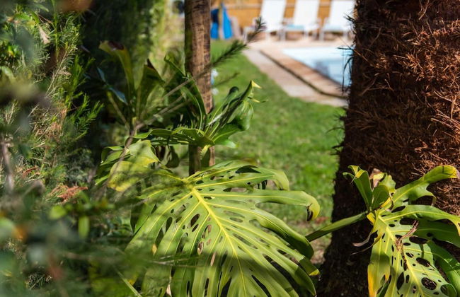 Lvpremier LA1 Heated Pool Jacuzzi AC Garden - Foto 12