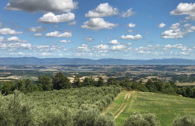 Borgo Poggio Bianco - Foto 34