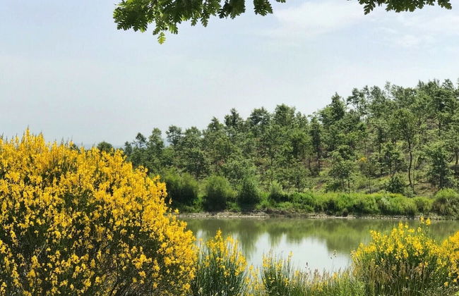 Borgo Poggio Bianco - Foto 60