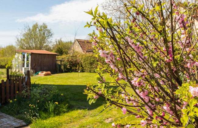 Cosy Flat in Niepars With Garden - Foto 21