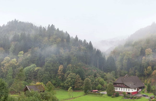 Hideaway Near Black Forest - Photo 18
