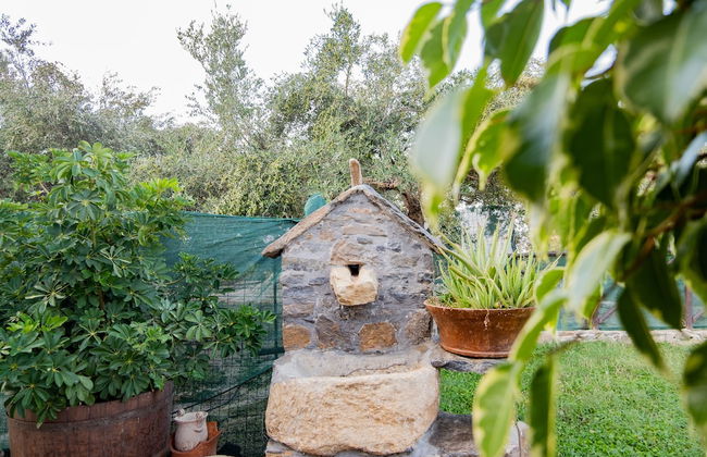 Traditional Villa in Fres - Photo 72