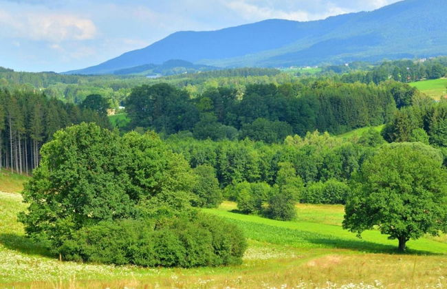 Ferienwohnung im Bayerischen Wald mit Balkon - Foto 26