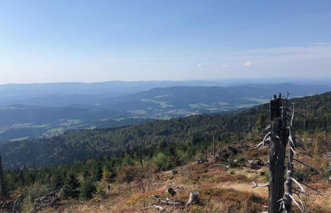 Ferienwohnung im Bayerischen Wald mit Balkon - Foto 24