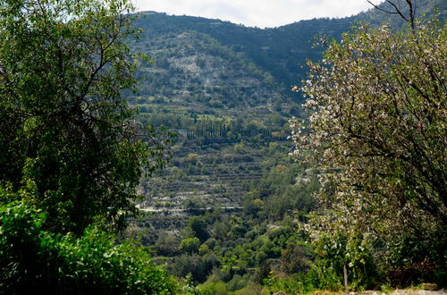 Photo 21 - The Old Olive Mill