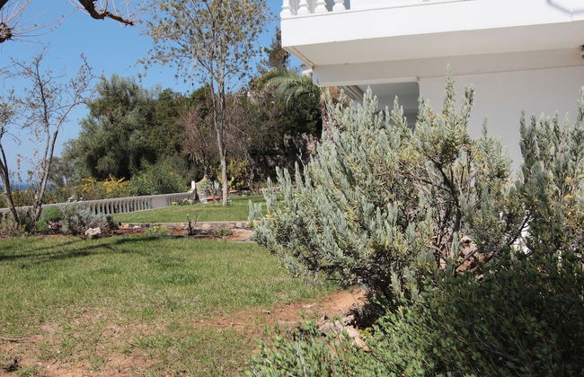 Apollon Apartments - Foto 18