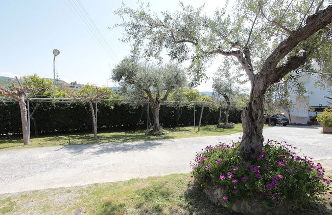 Apollon Apartments - Foto 13