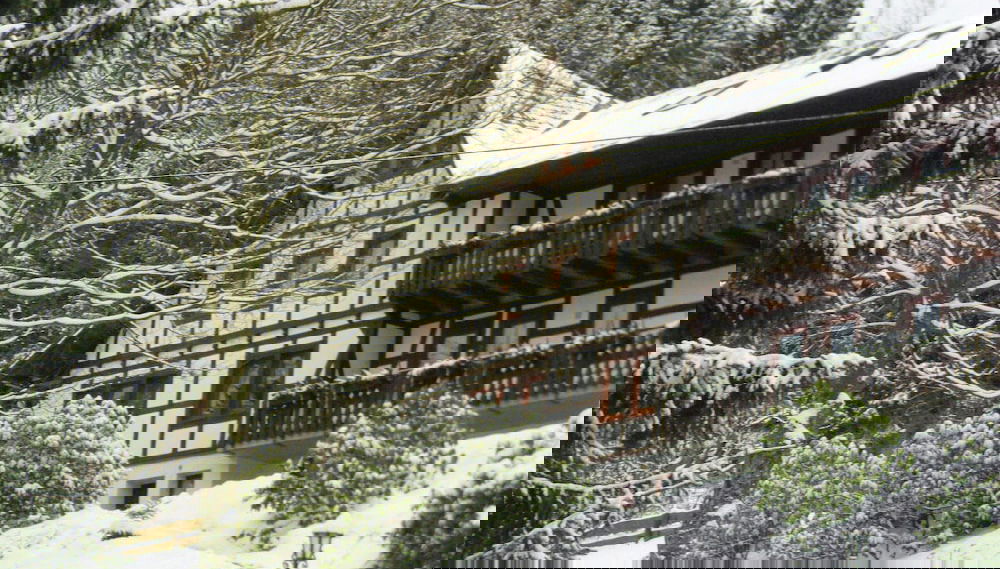 Imagem principal