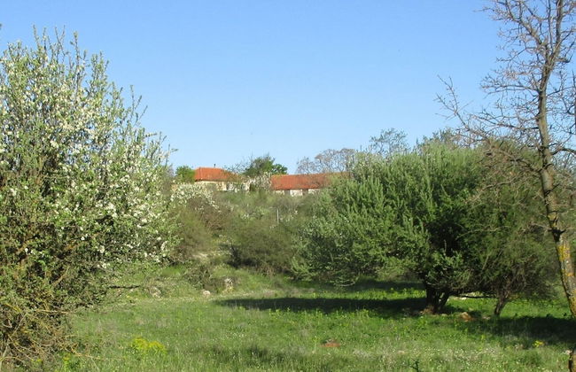 Holiday Home With Garden in Leonidio - Foto 22