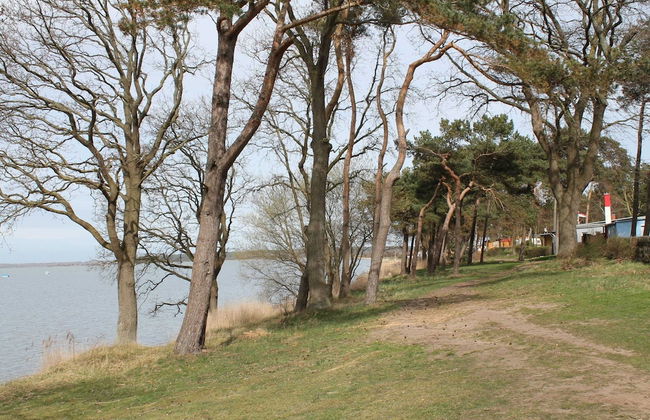 Bungalow in Pepelow Direkt am Haff - Foto 34