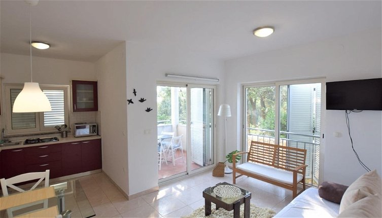 Photo 1 - Spacious Apartment in Mandre With Terrace