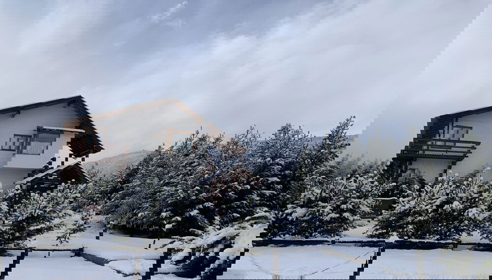 Image principale