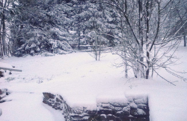 Holiday Home in Odeigne With Sauna - Foto 36