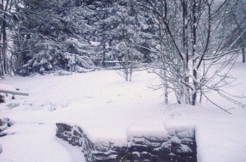 Photo 35 - Cozy Holiday Home in Odeigne With Sauna