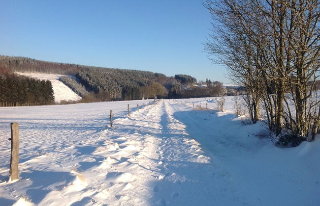 Holiday Home in Odeigne With Sauna - Foto 40