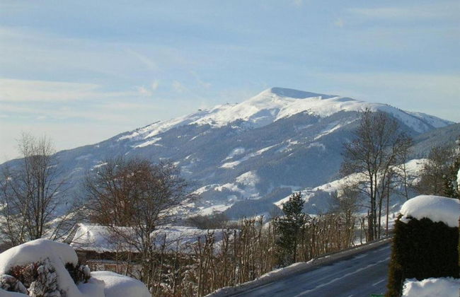 Fantastic Apartment in the Kitzbuhel Alps - Foto 30